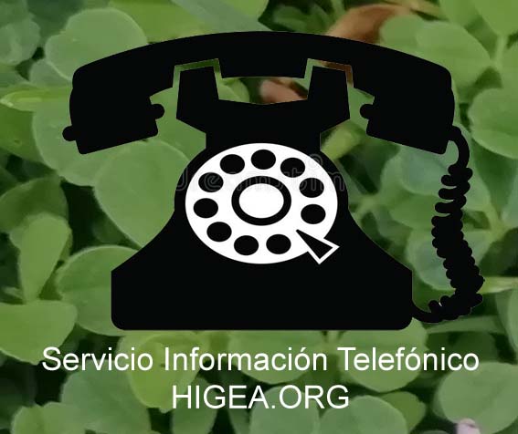 SERVICIO INFORMACIÓN HIGIENISTA POR TELÉFONO